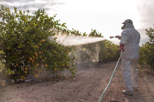 Best Best Pest Control Companies  in Bayou Country Clu, LA