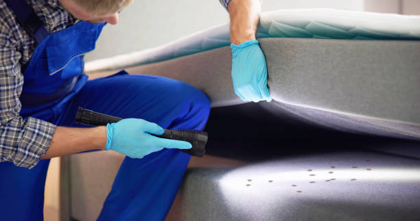 Best Best Pest Control Companies  in Bayou Country Clu, LA